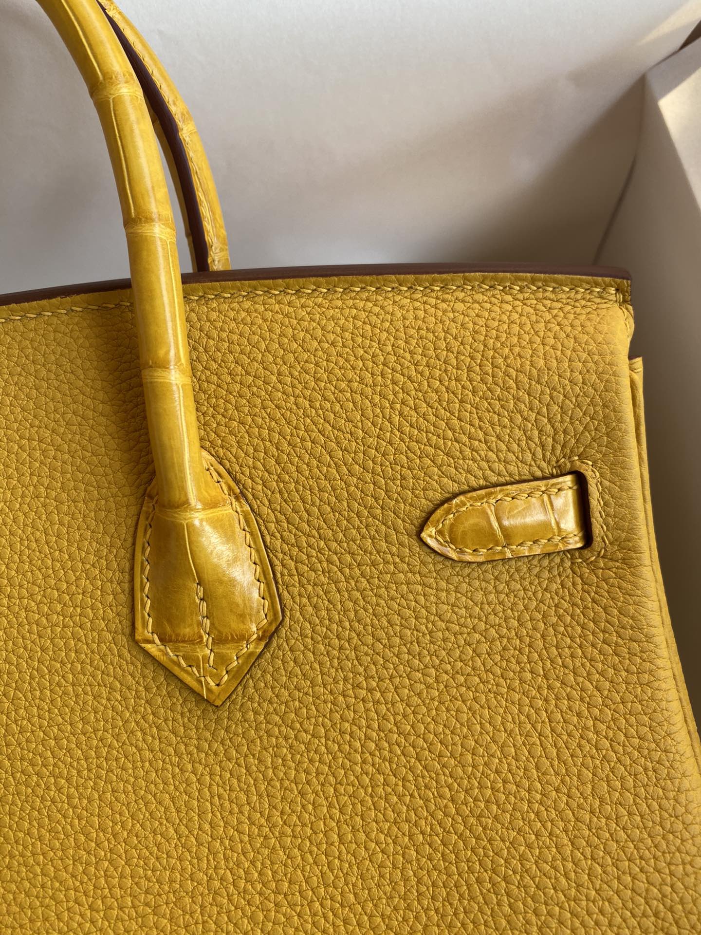 Birkin 25 Togo Leather & Crocodile Leather Bag