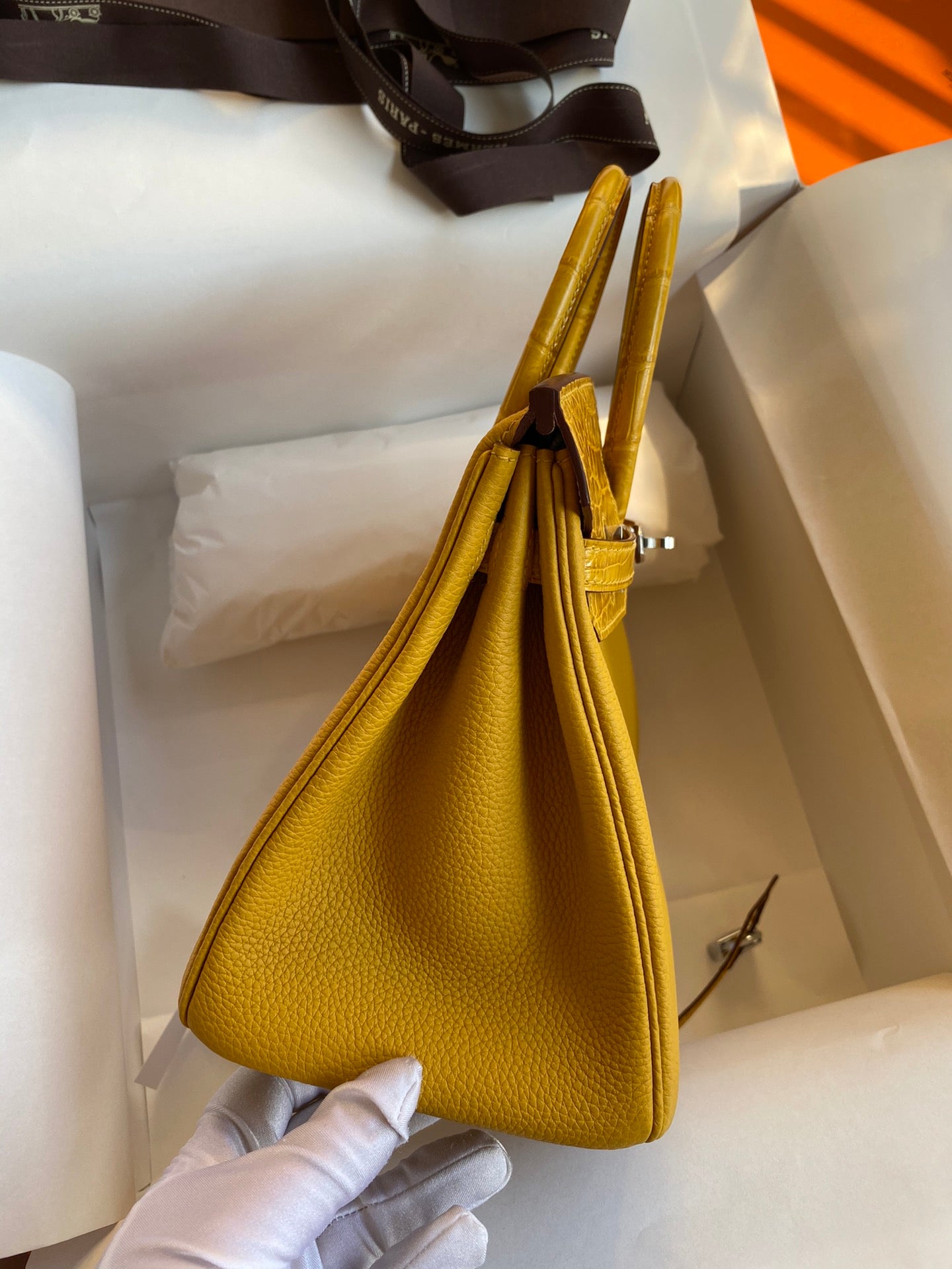 Birkin 25 Togo Leather & Crocodile Leather Bag