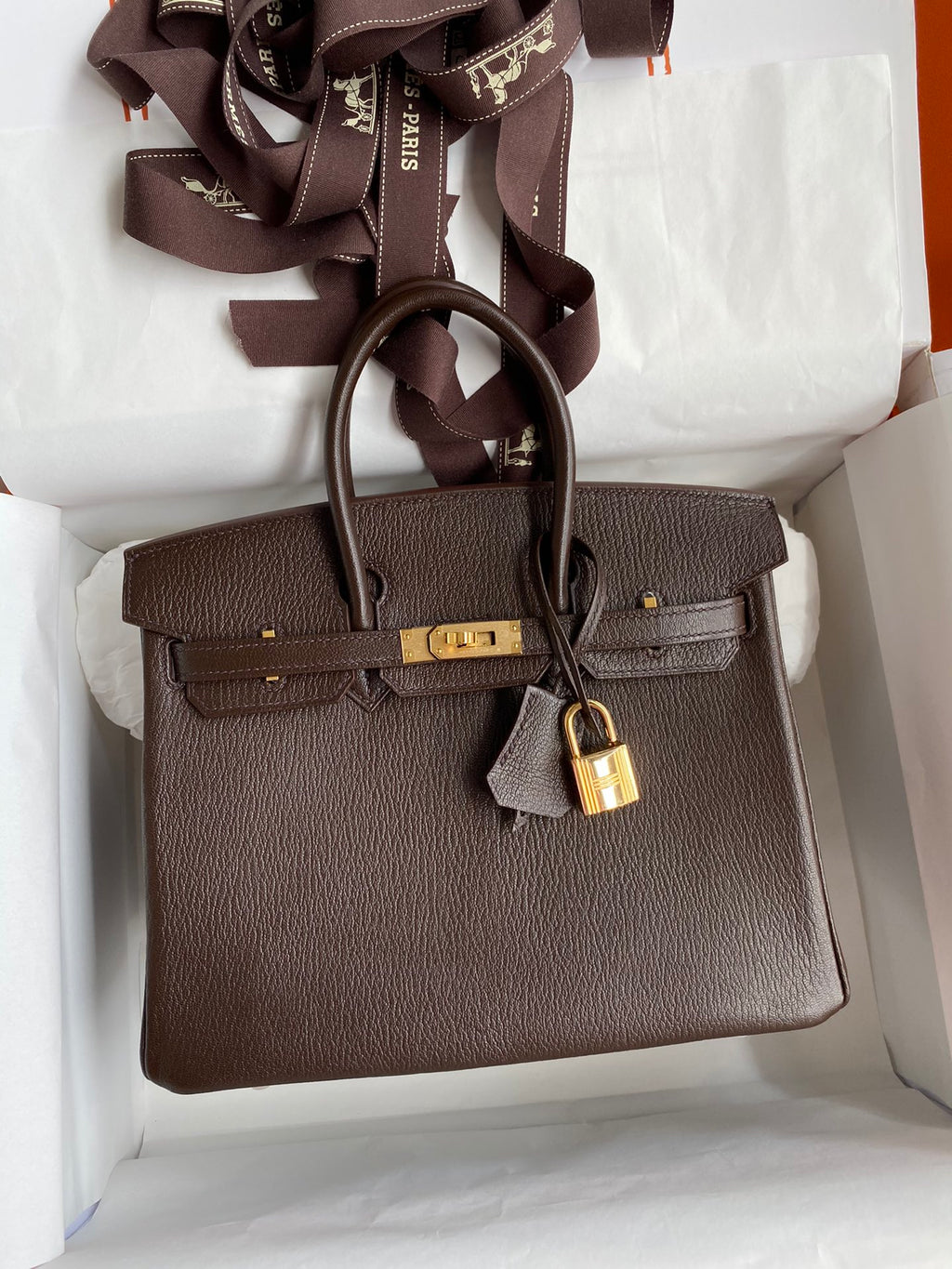 Birkin 25 Chevre (Goat Leather) Bag