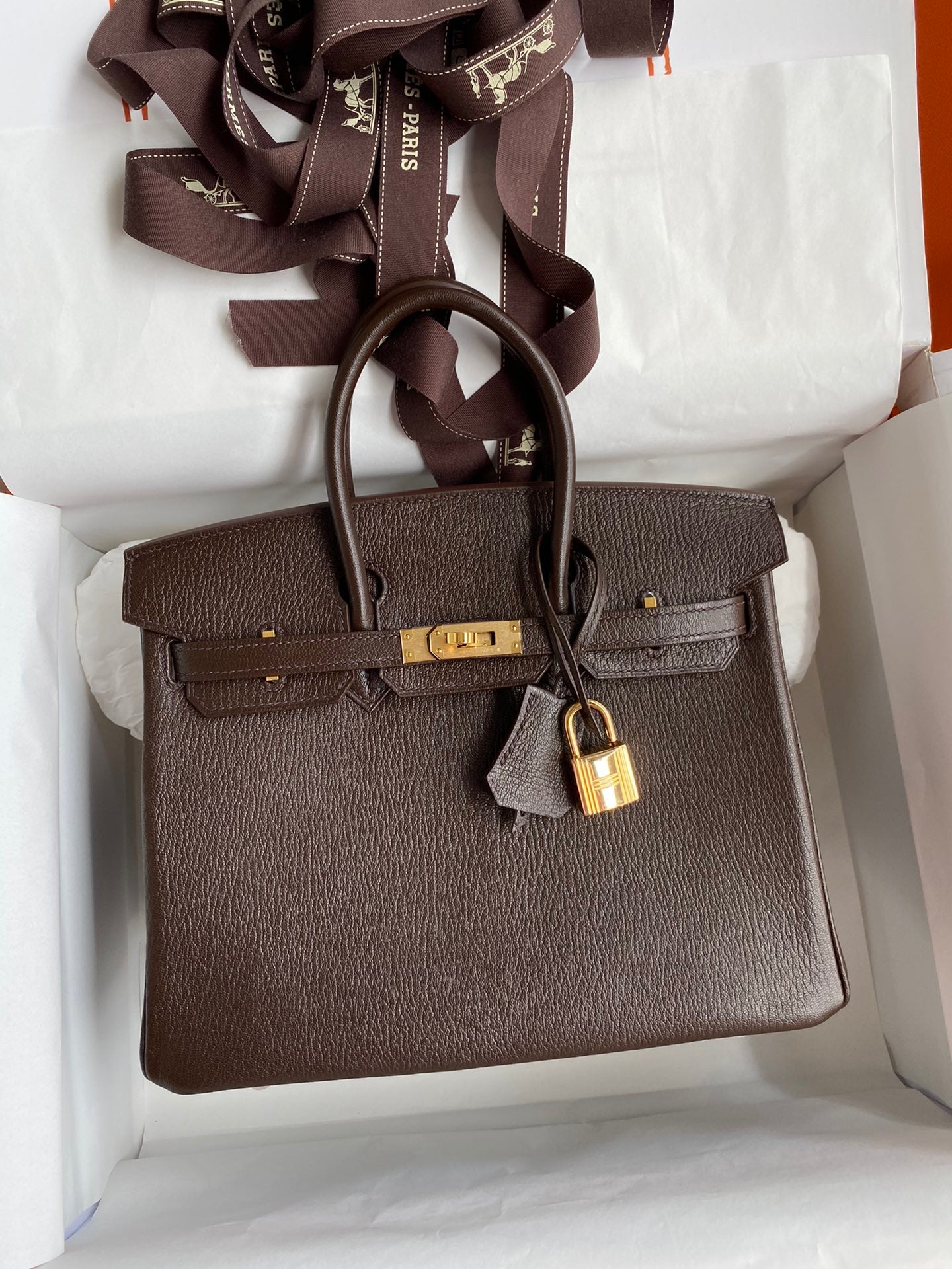 Birkin 25 Chevre (Goat Leather) Bag