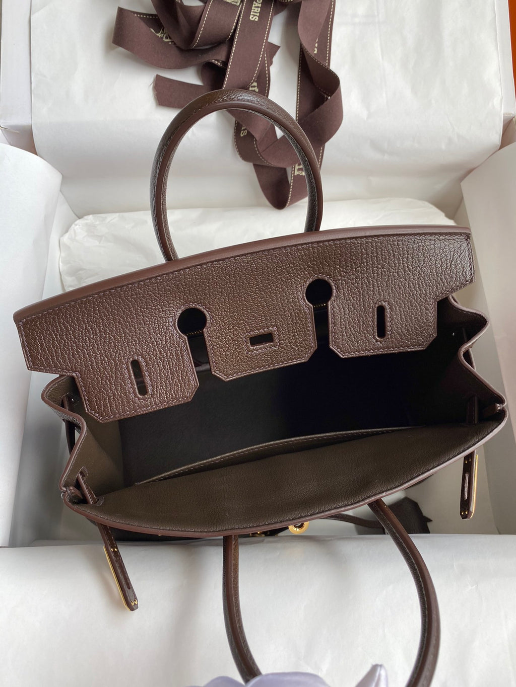 Birkin 25 Chevre (Goat Leather) Bag