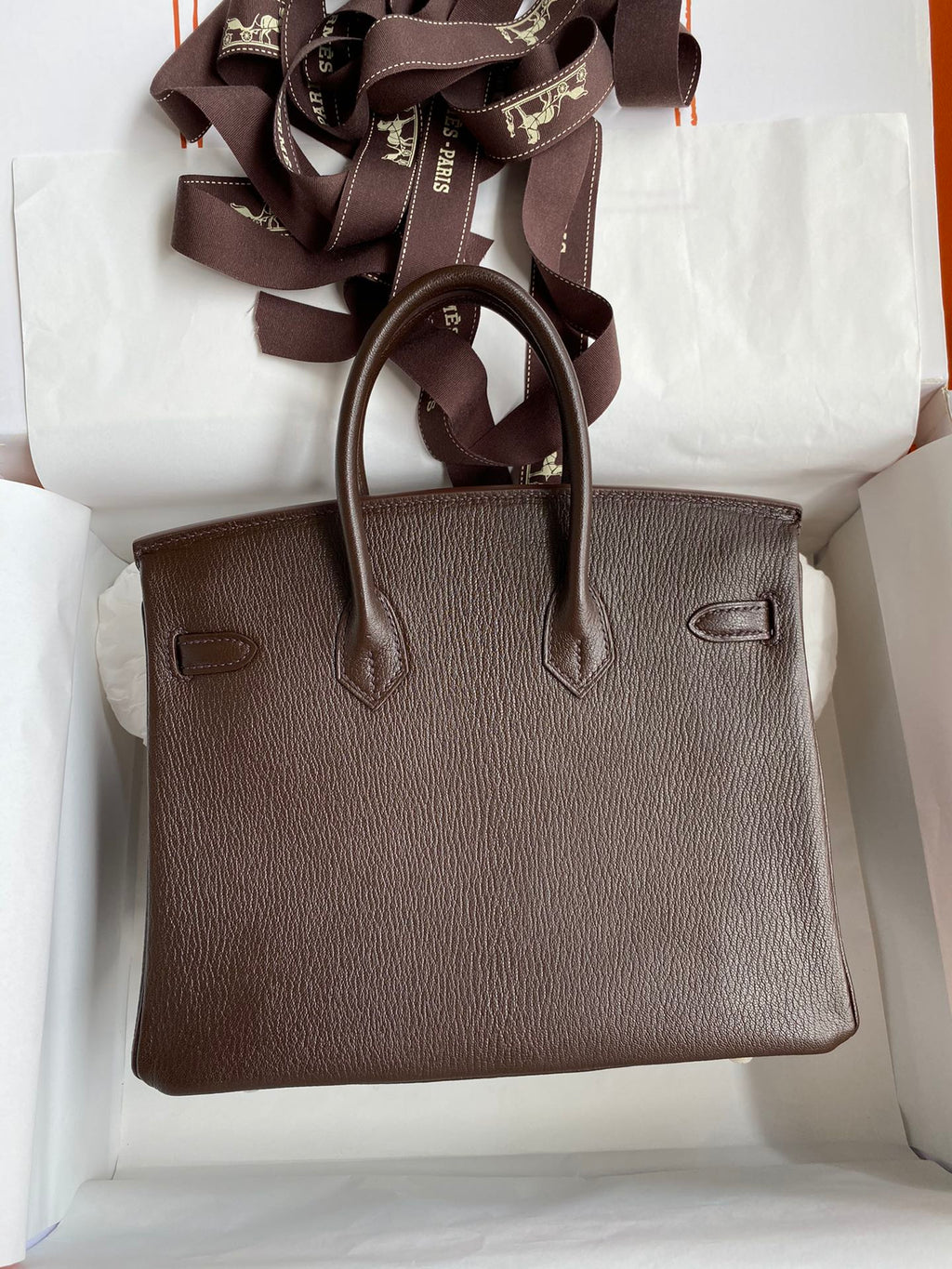 Birkin 25 Chevre (Goat Leather) Bag