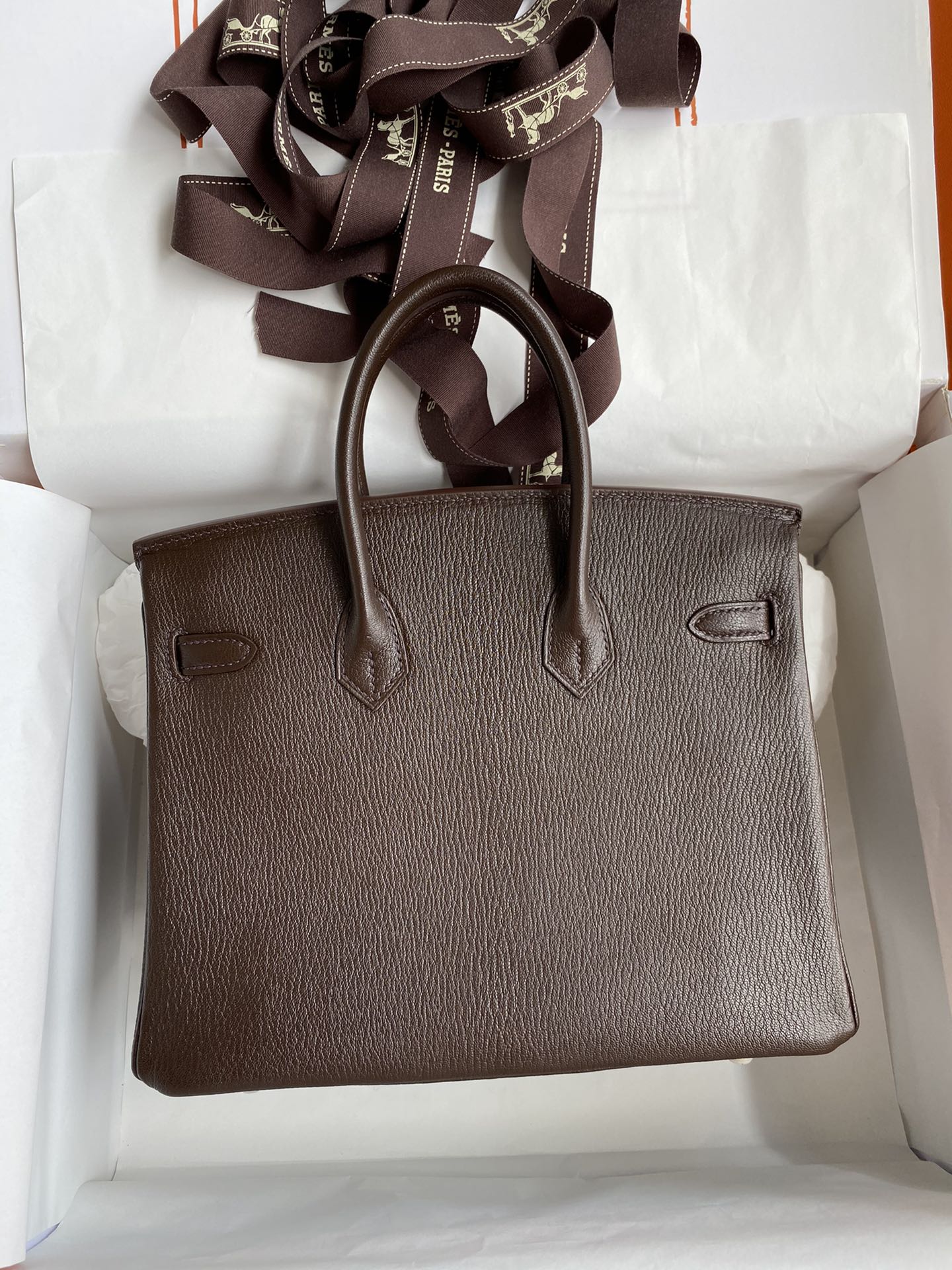 Birkin 25 Chevre (Goat Leather) Bag
