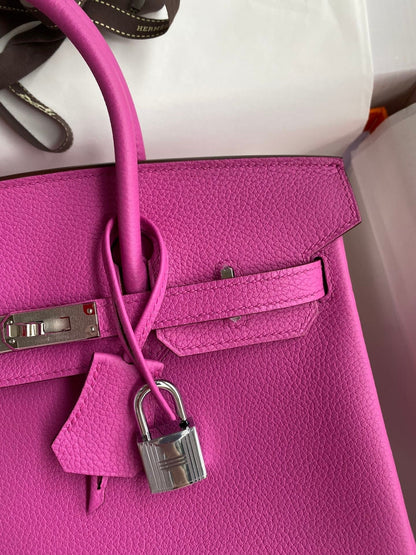Birkin 25cm Togo Leather Handbag