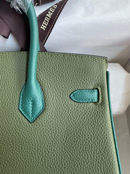 Birkin 25cm Togo Leather Handbag