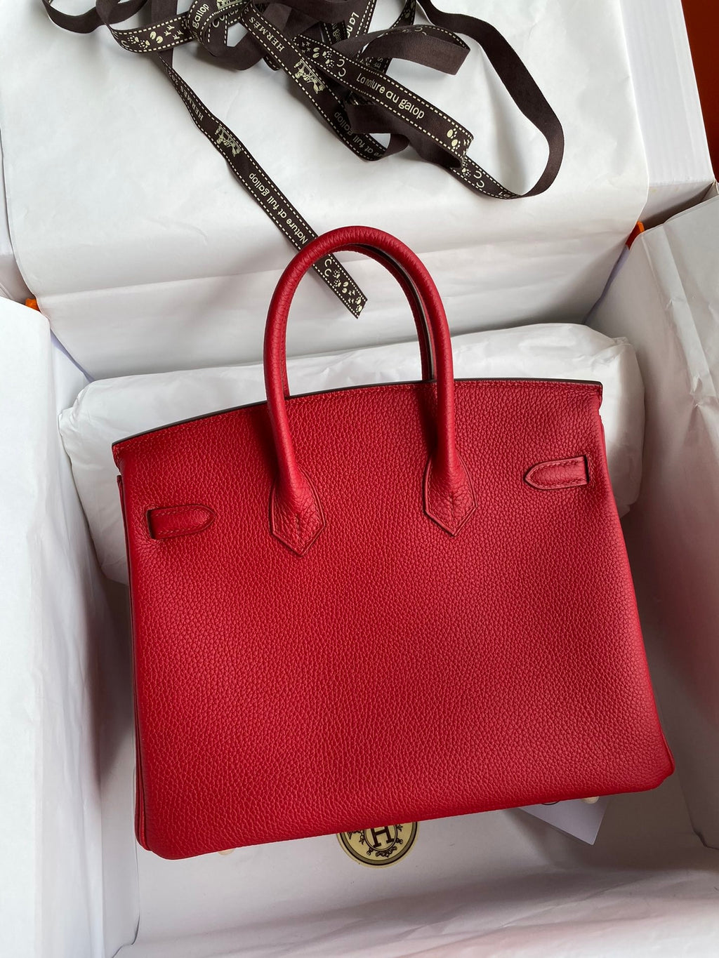 Birkin 25cm Togo Leather Handbag