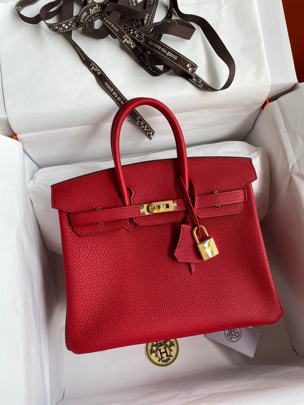 Birkin 25cm Togo Leather Handbag