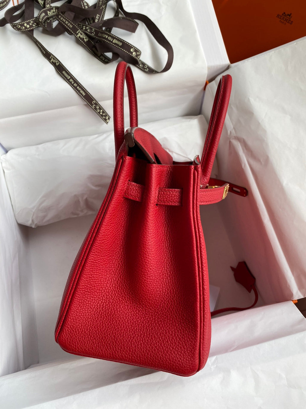 Birkin 25cm Togo Leather Handbag