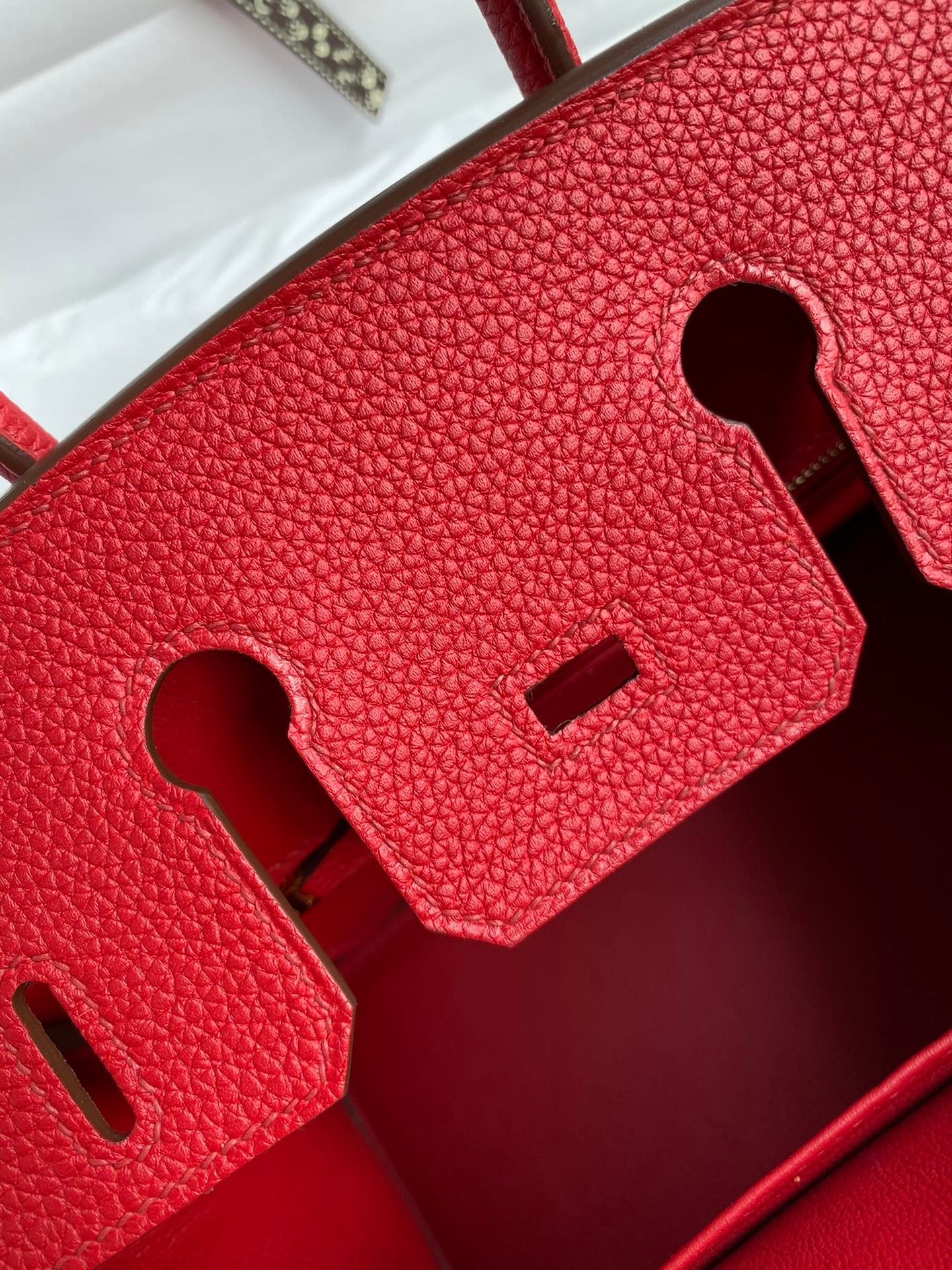 Birkin 25cm Togo Leather Handbag