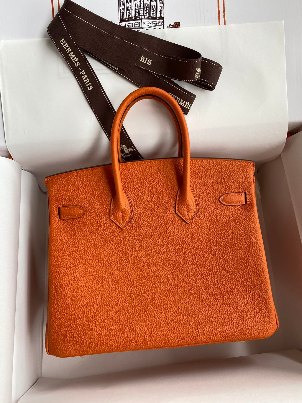 Birkin 25cm Togo Leather Handbag