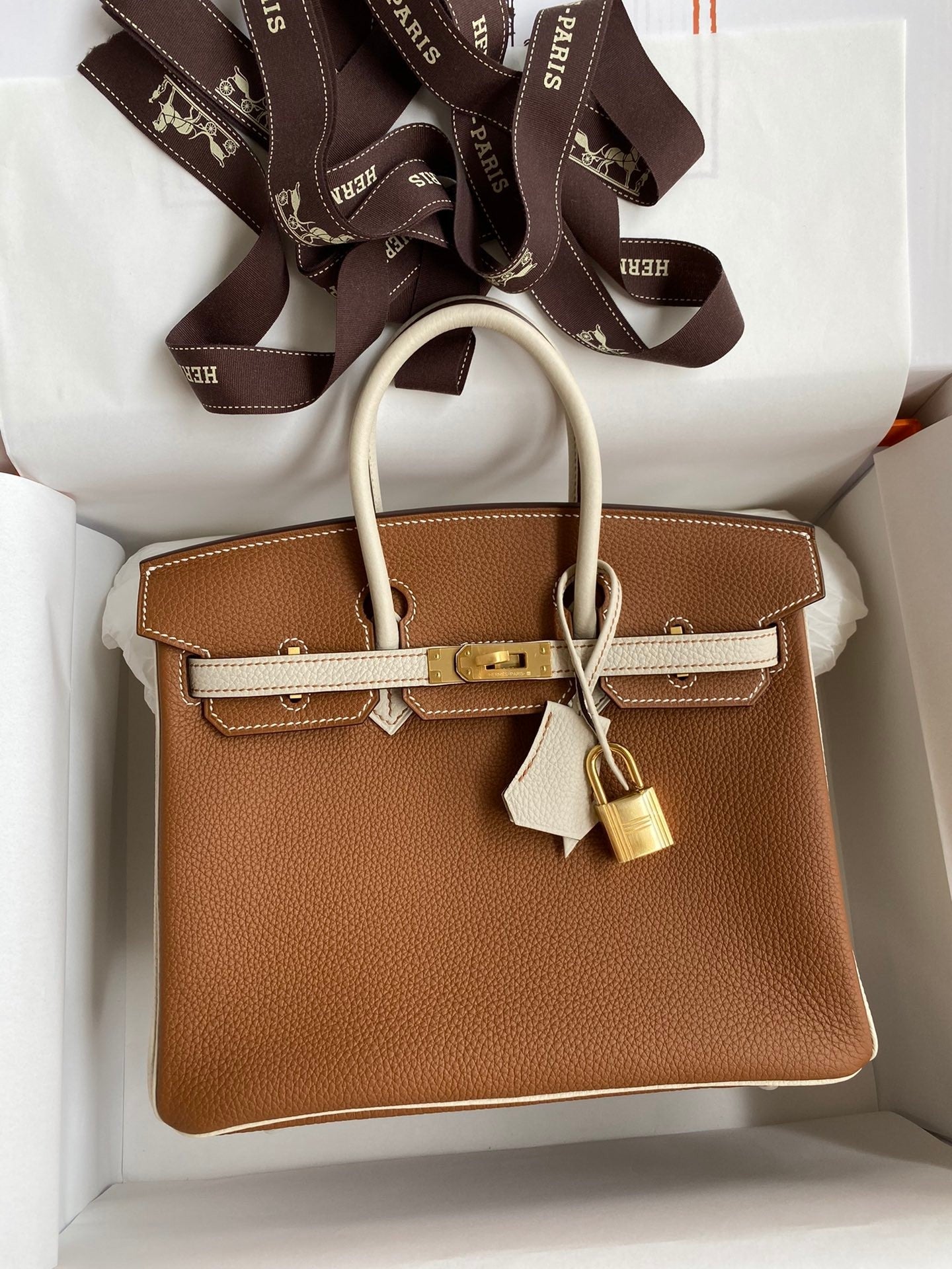 Birkin 25cm Togo Leather Handbag