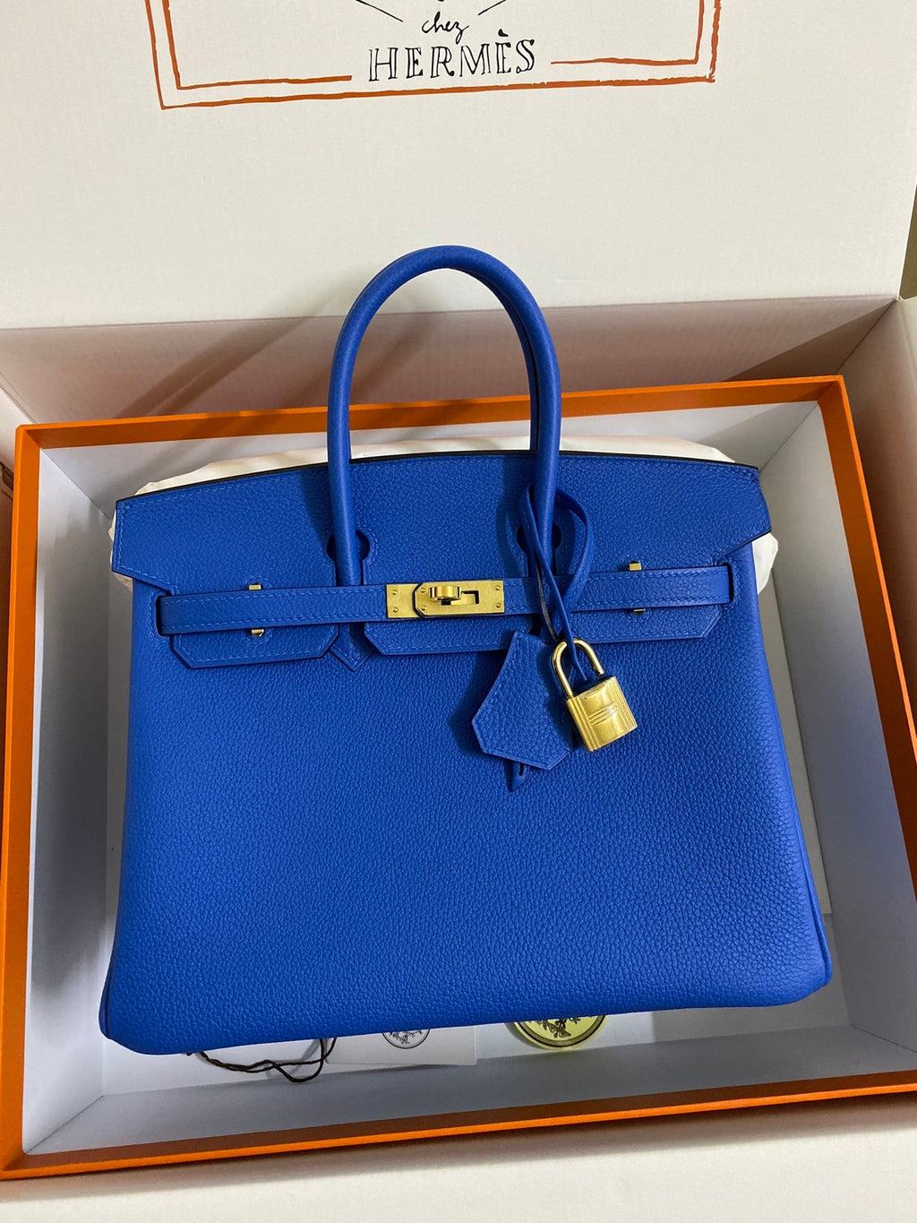 Birkin 25cm Togo Leather Handbag
