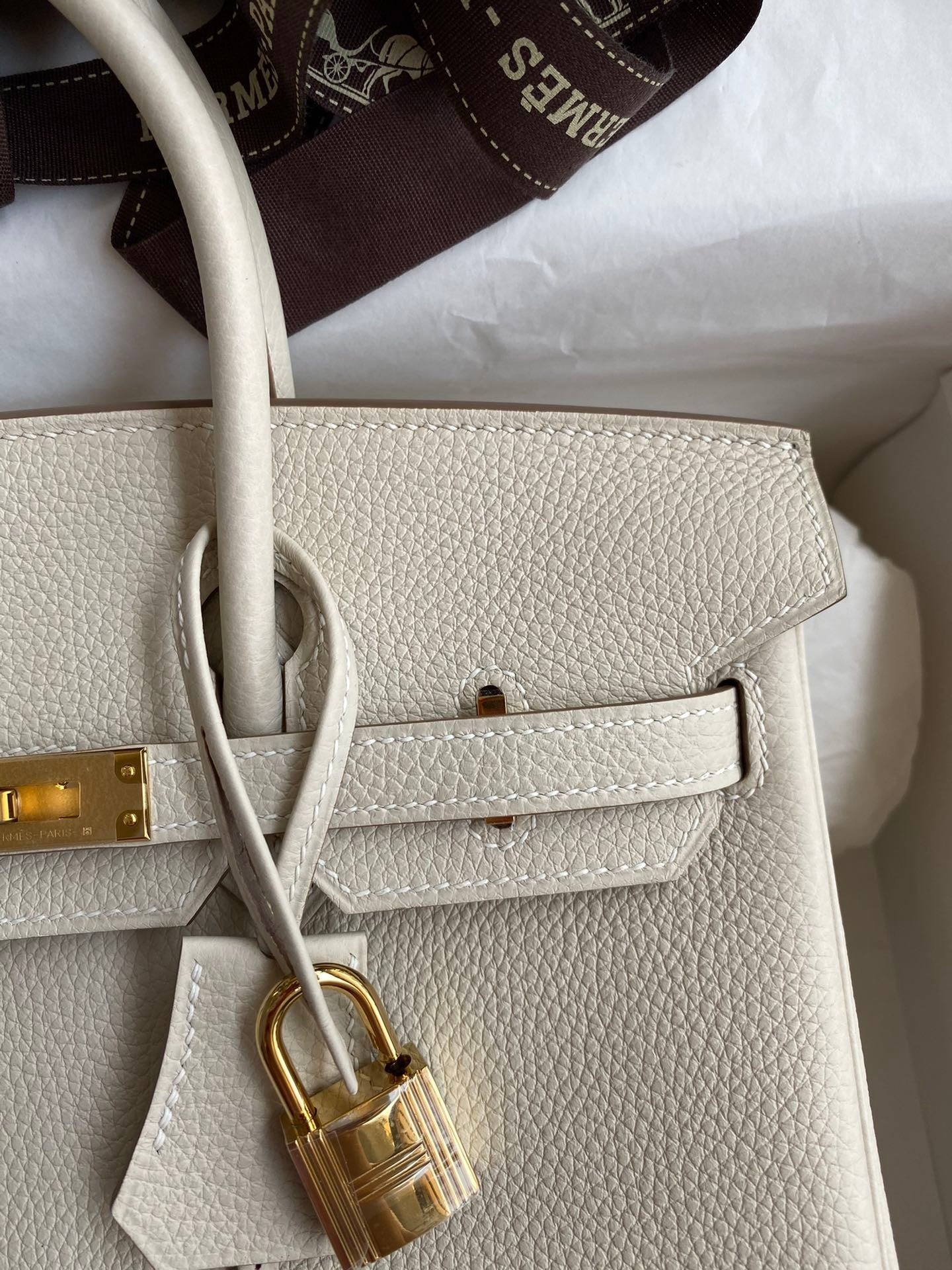 Birkin 25cm Togo Leather Handbag