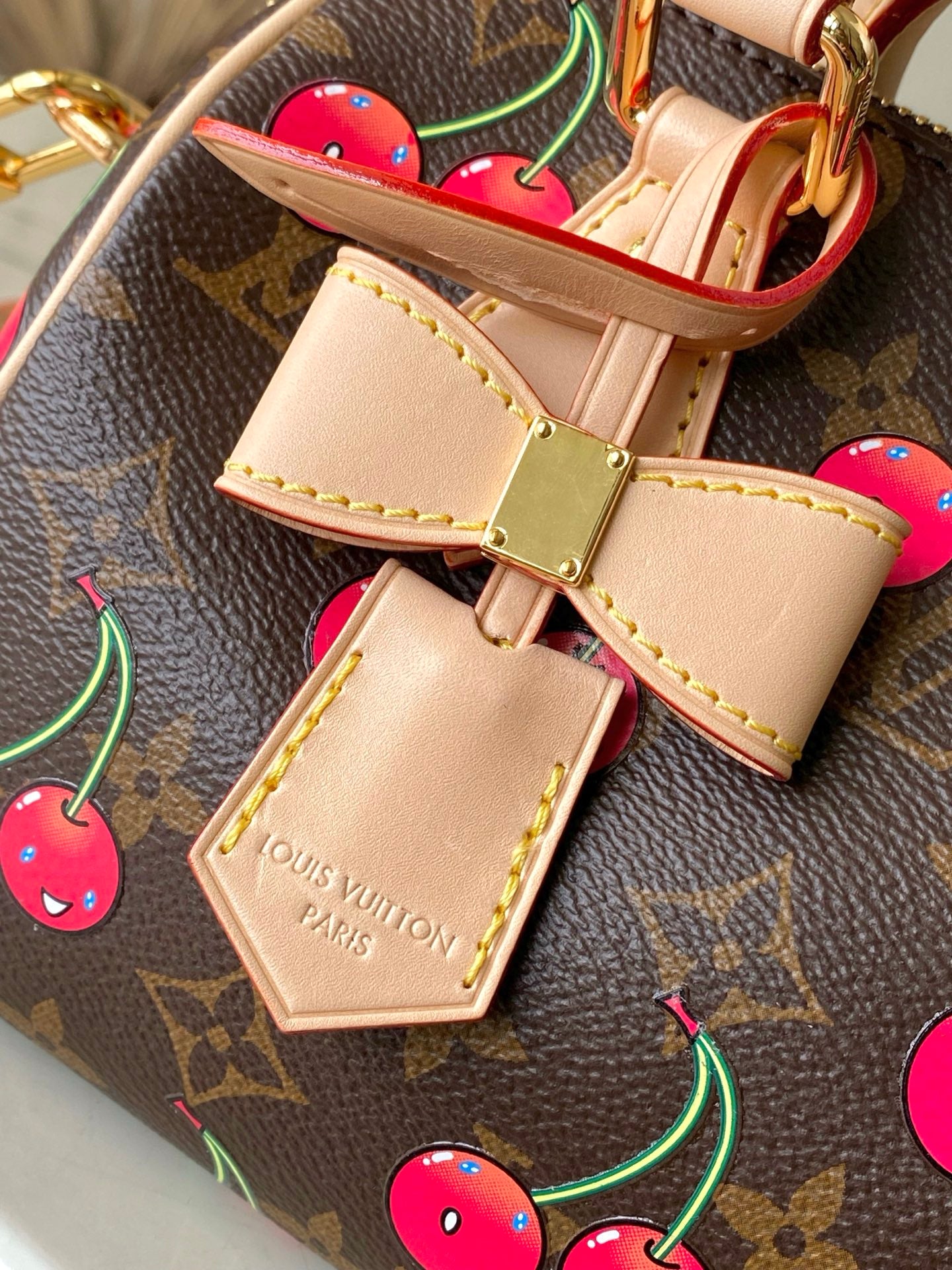 Speedy Bandoulière 20 Monogram Canvas with Cherry Print