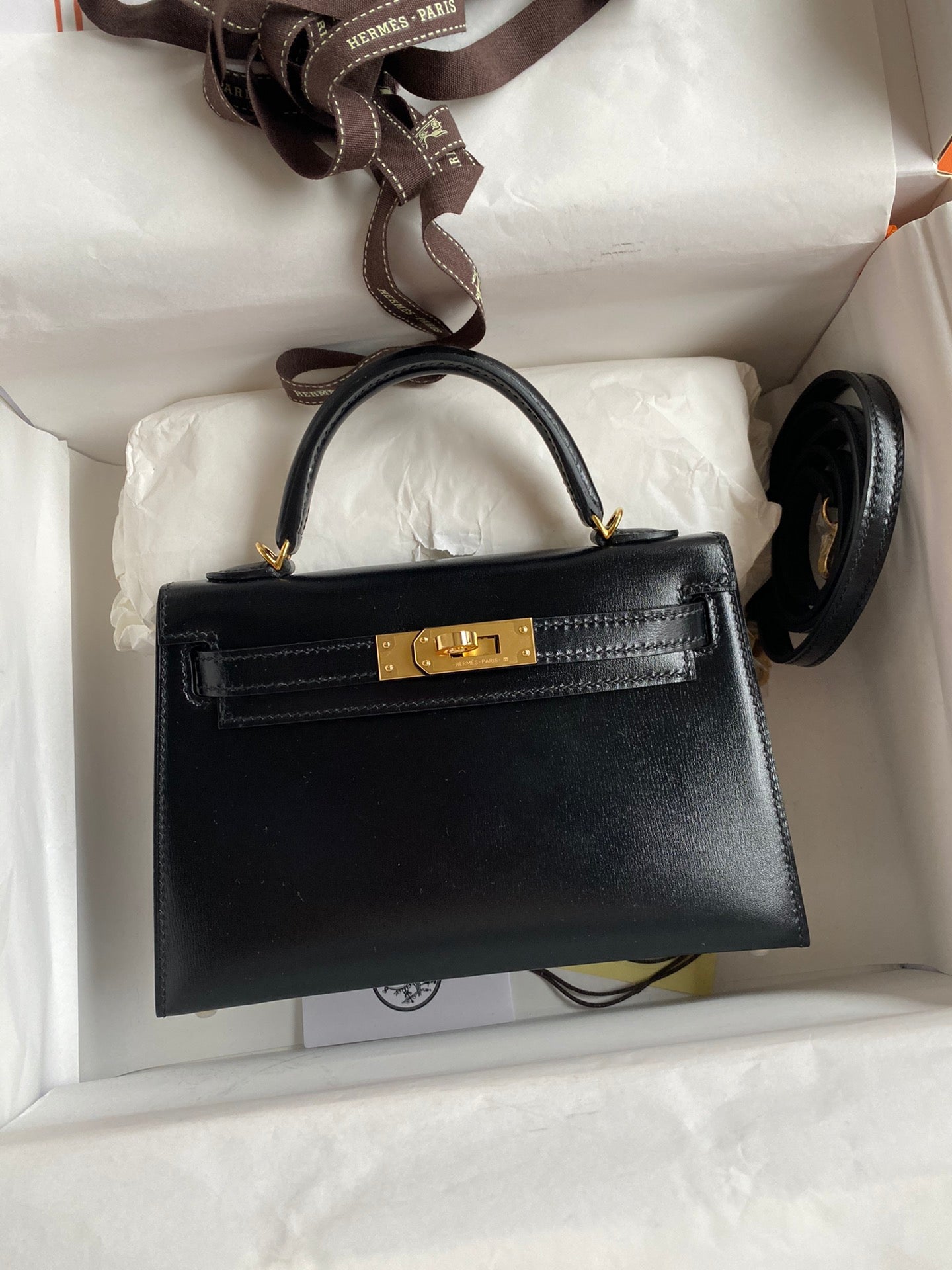 Mini Kelly 19cm Box Leather Handbag